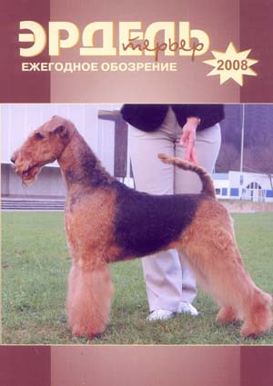 Терьеры в России