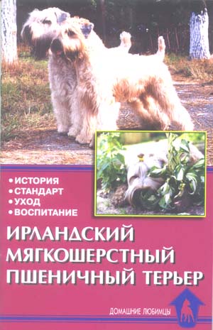 Пшеник1
