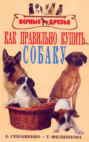 покупка2