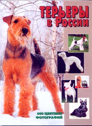 Терьеры в России