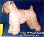 WHEATSTONE QUEST