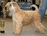 WHEATEN