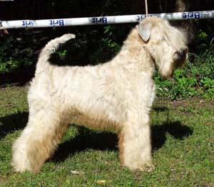 KATTYLINE MIRSELLA